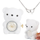 Urso Giratório com Rosa + Colar de Coração Personalizado🧸